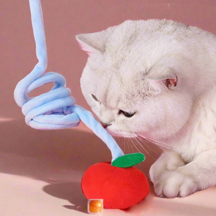 10 Tipps, damit Ihrer Katze nicht langweilig wird