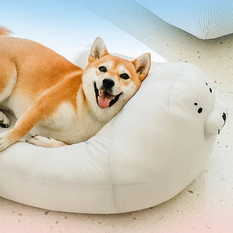 10 Beste Hundebett fr alte Hunde: Test & Vergleich 2024