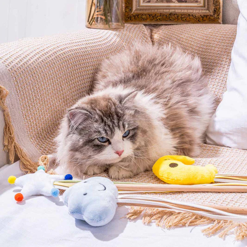 5 Bestes Katzenspielzeug Selber Machen: Kreative DIY-Ideen fr Ihre Ka