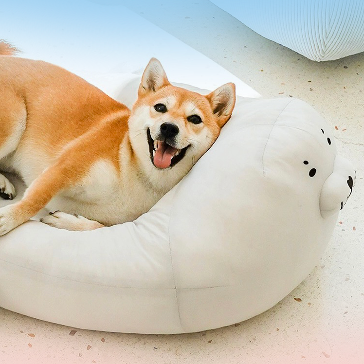 Die 8 besten Hundebetten in Beige 2025 – Komfort & Stil für deinen Vierbeiner