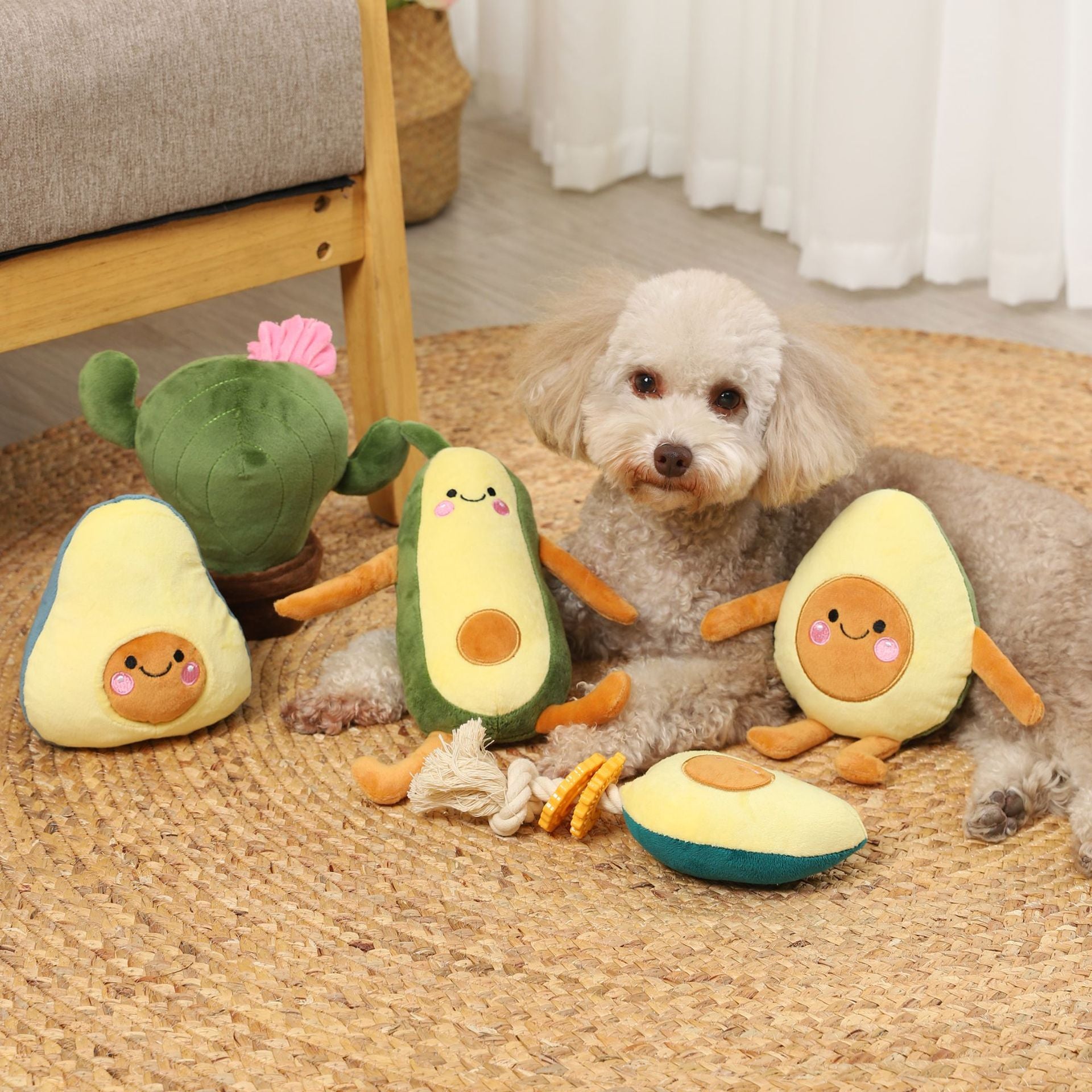 Avocado toy online