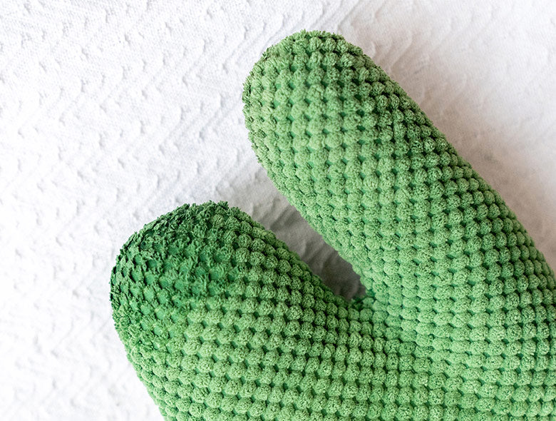 Katzenminze-Kaktus: Spaß haben, Möbel schonen!