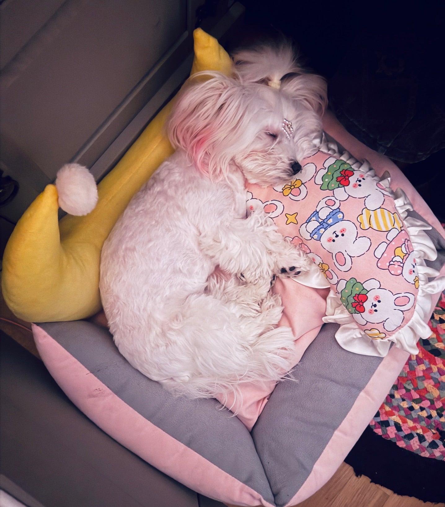 Hundekissen weich und ergonomisch für entspannten Hundeschlaf