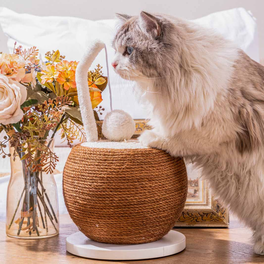 Stylischer Katzenkratzer mit Kokosnuss-Design und robustem Juteseil für langanhaltenden Kratzspaß.