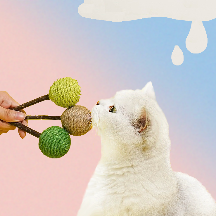 Matatabi Lollipop Katzenspielzeug zur Zahnpflege mit robustem Material und buntem Design.