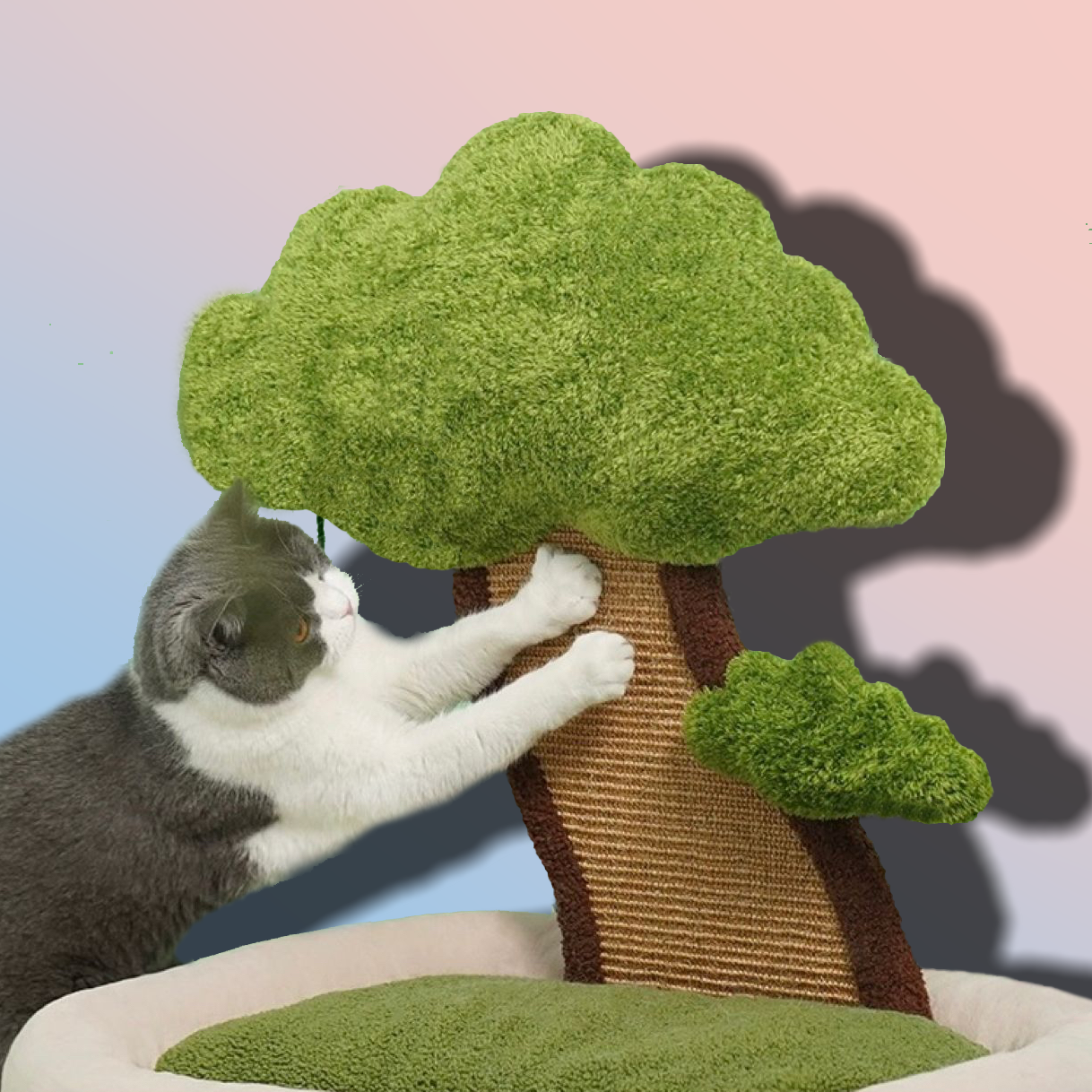 Katzenbett mit Kratzfunktion, langlebig und gemütlich für Haustiere unter 7,5 kg.