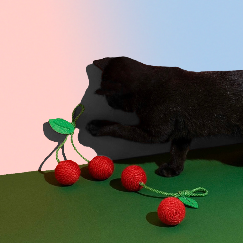 Bunt, bissfest, beliebt: Unser Sisal-Fruchtspielzeug!