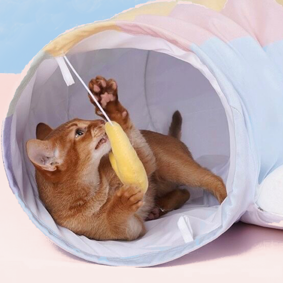 Katzenbett mit Tunnel und gepolsterter Matte, leicht zu reinigen und perfekt zum Spielen und Entspannen.