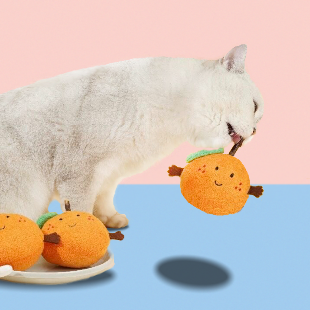 Katzen-Spielzeug mit Matatabi, weichem Samtstoff und süßem orangenem Design.