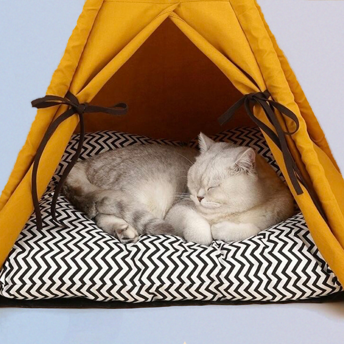 Geräumiges Haustierbett in Zeltform – ideal für entspannte Katzen und kleine Hunde.
