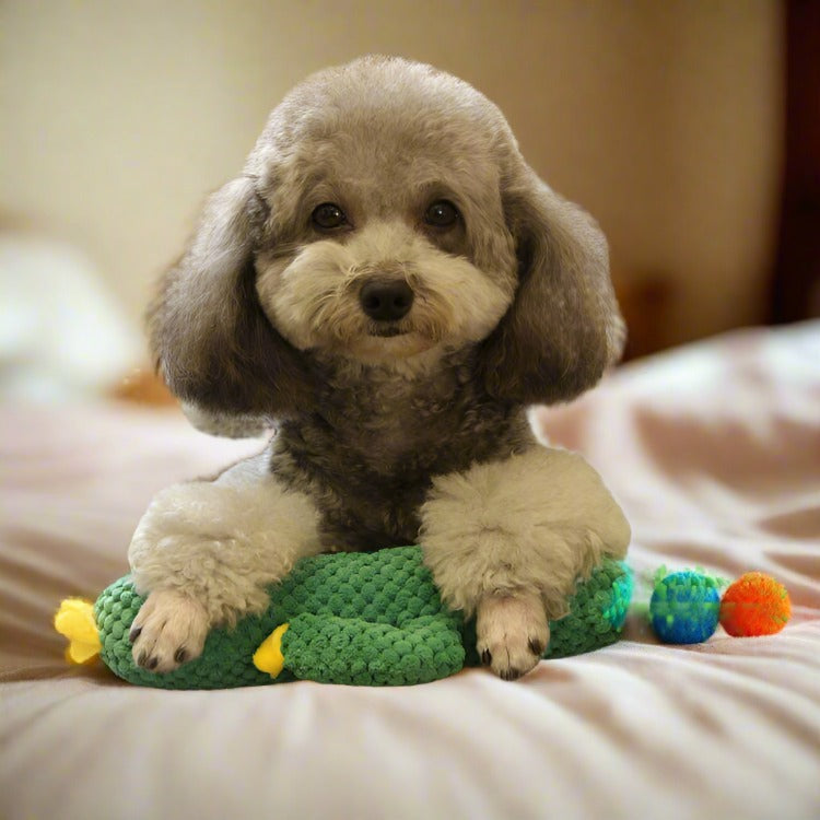 Cactus Friend Squeaky Dog Toy - Fluffy Smiles