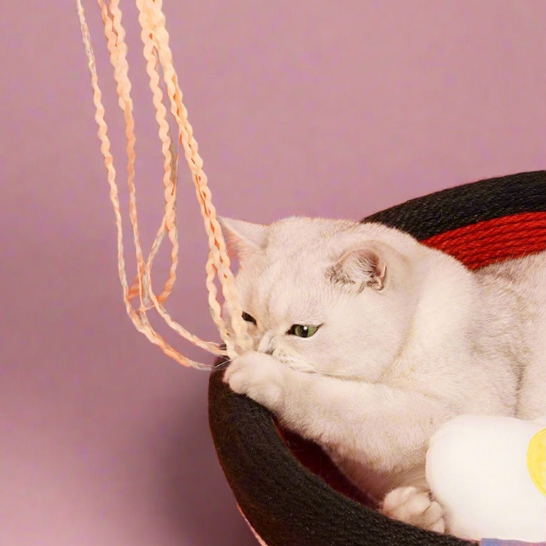 Ramen Bowl Cat Scratcher - Fluffy Smiles