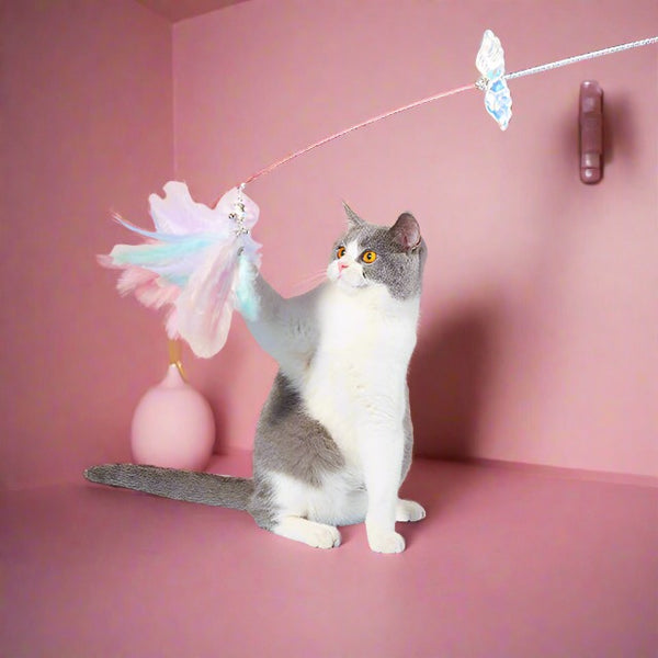 1. Feder Engelsflügel Katzenangel