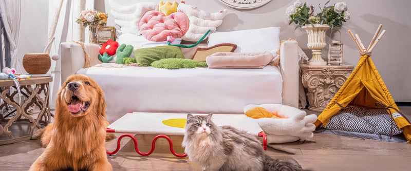 1. Fluffy Smiles Pet