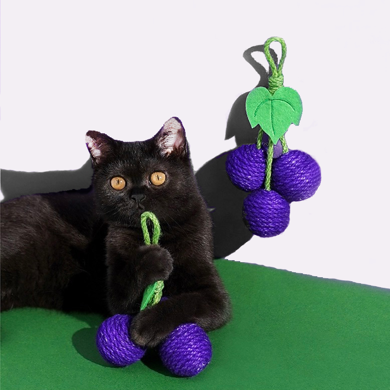 Natural Sisal Fruit Cat Chew Toy - Fluffy Smiles