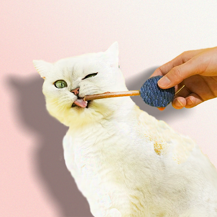 Lollipop Cat Toy with Silver Vine - Fluffy Smiles