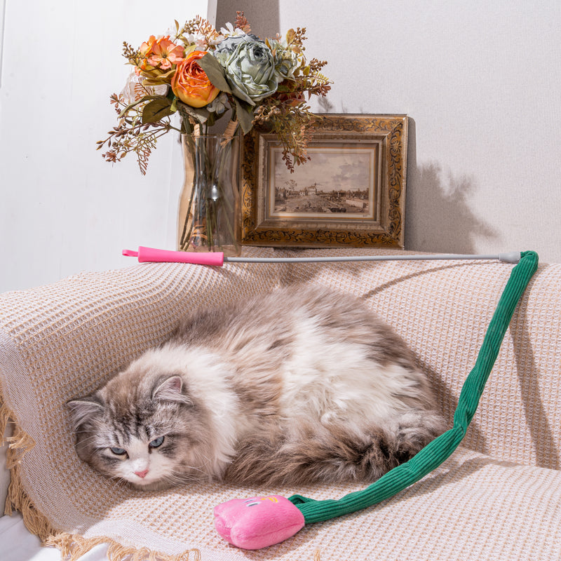 1. Tulpen Katzenangel und Beißstange