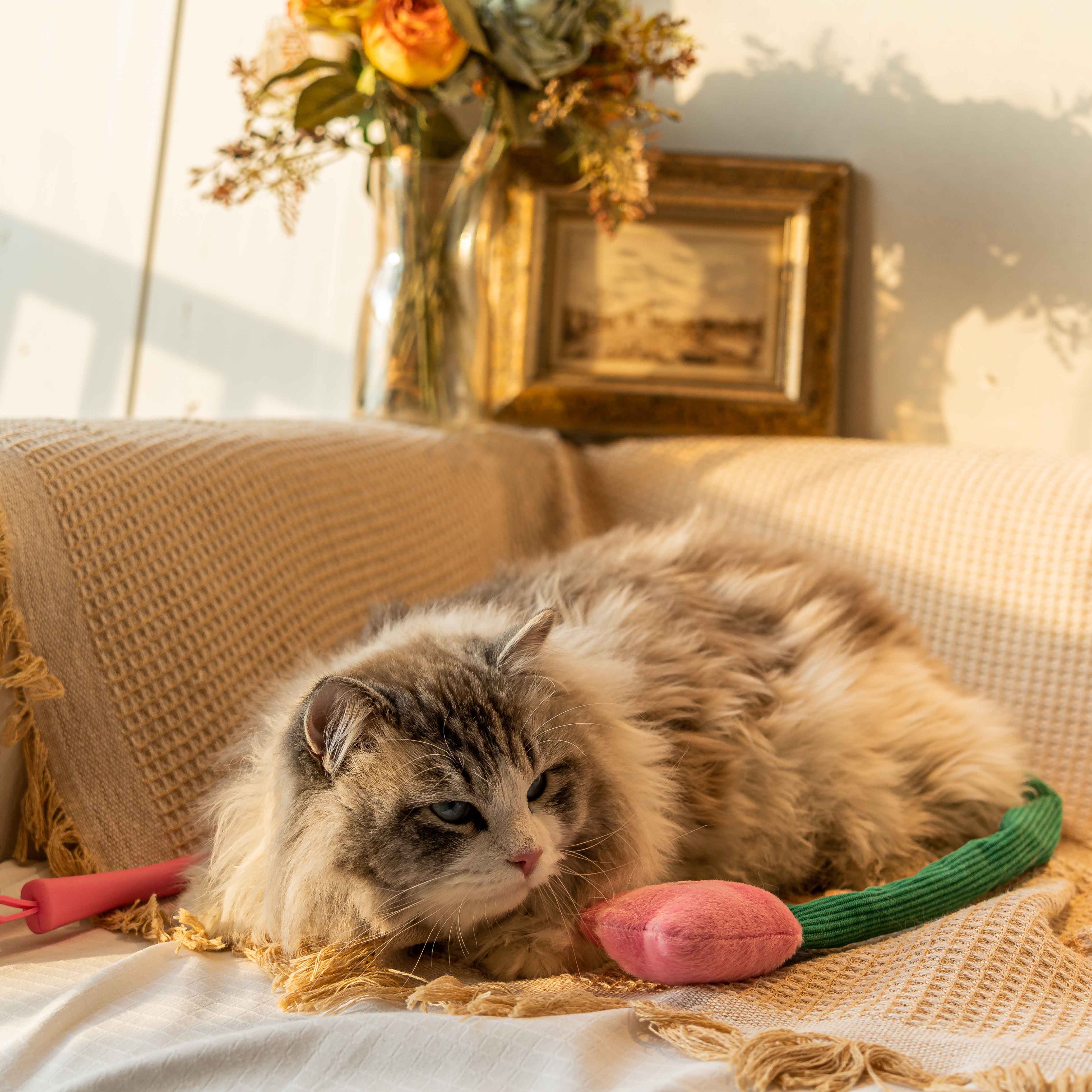 Tulip Cat Teaser and Teething Stick - Fluffy Smiles