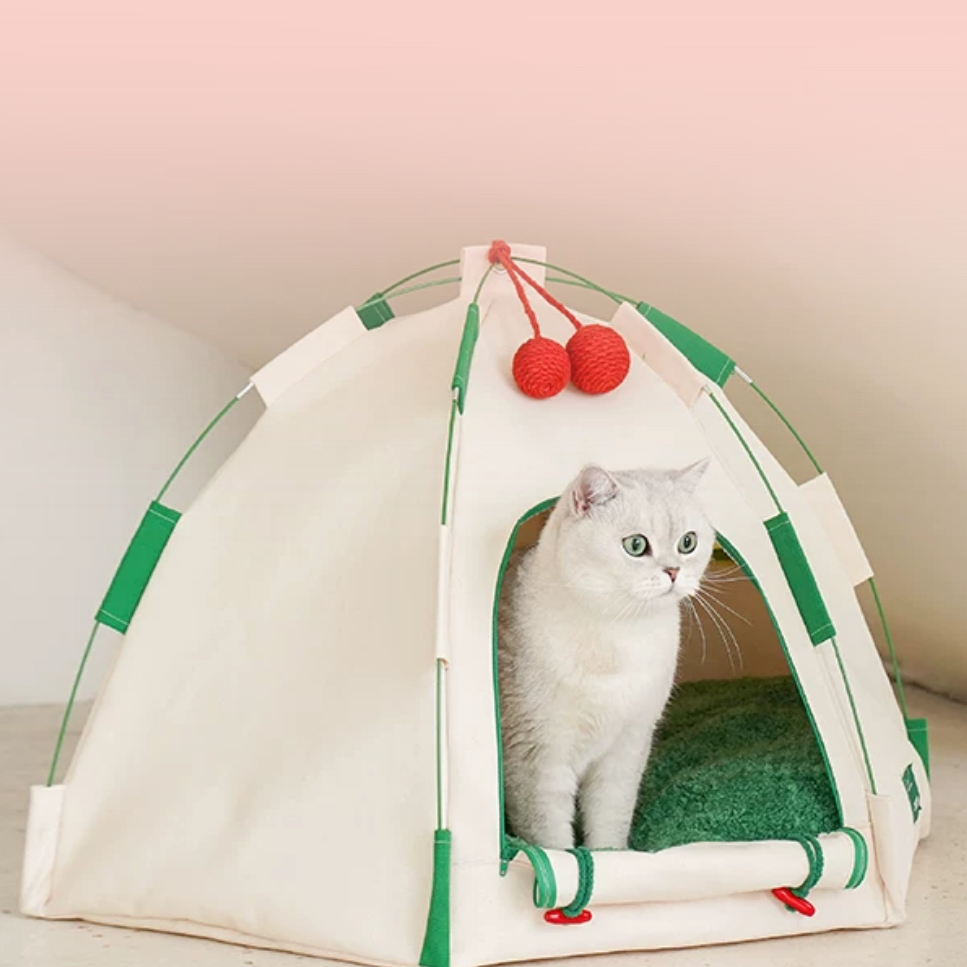 Camping Tent Cat & Dog - Fluffy Smiles