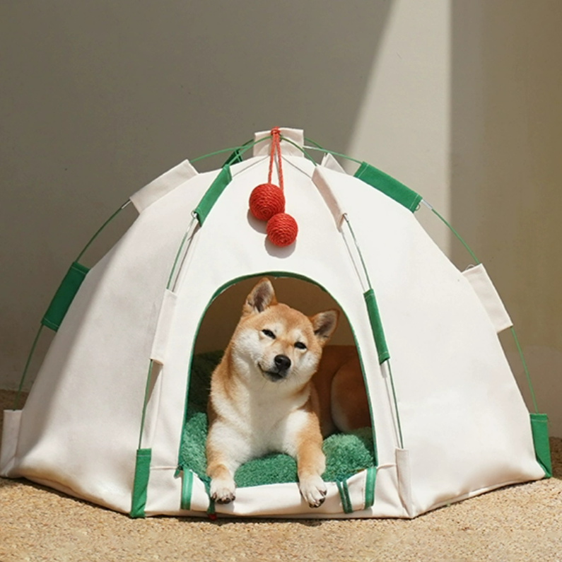 Camping Tent Cat & Dog - Fluffy Smiles