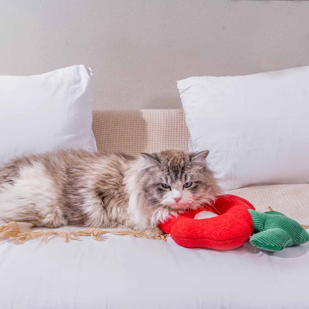 Flower Cat Chew Toy with Catmint - Fluffy Smiles