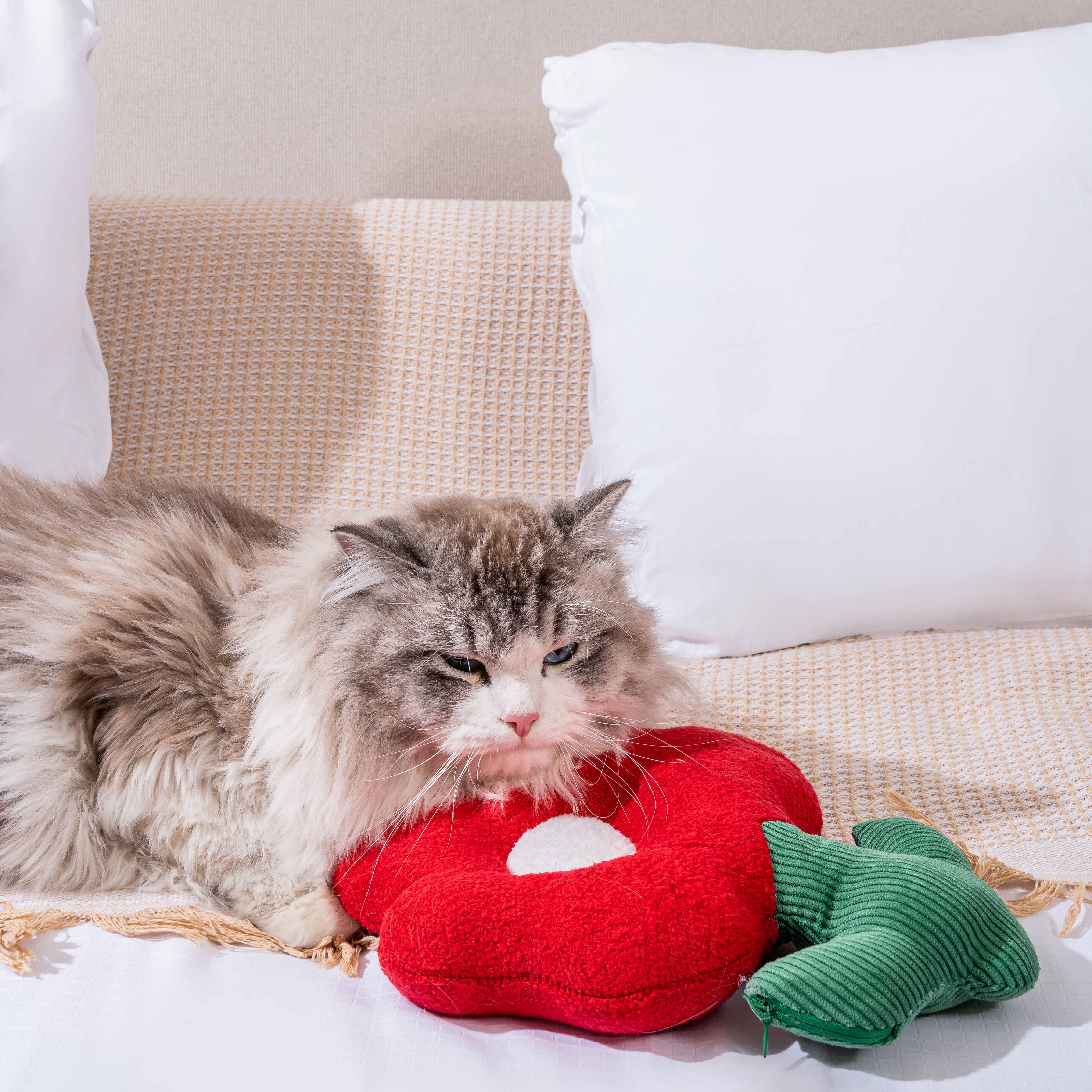 Flower Cat Chew Toy with Catmint - Fluffy Smiles