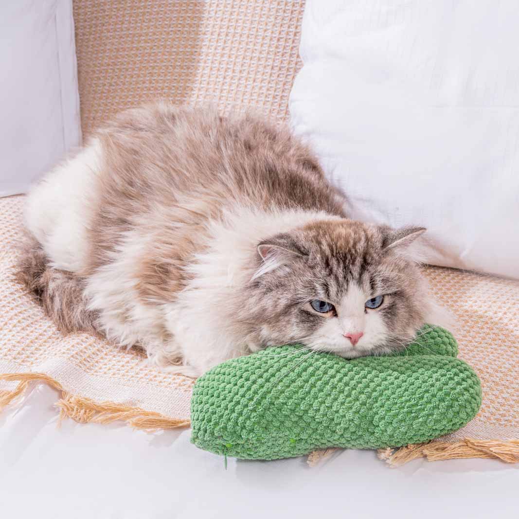 Cactus Cat Chew Toy with Catmint - Fluffy Smiles