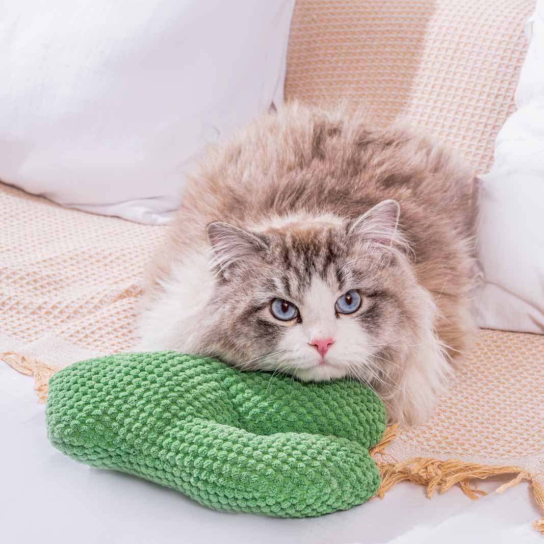 Cactus Cat Chew Toy with Catmint - Fluffy Smiles