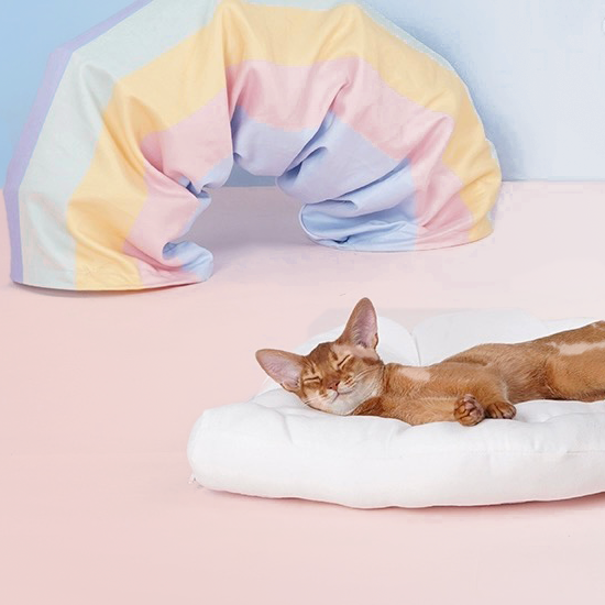 Rainbow Tunnel Cat Bed - Fluffy Smiles