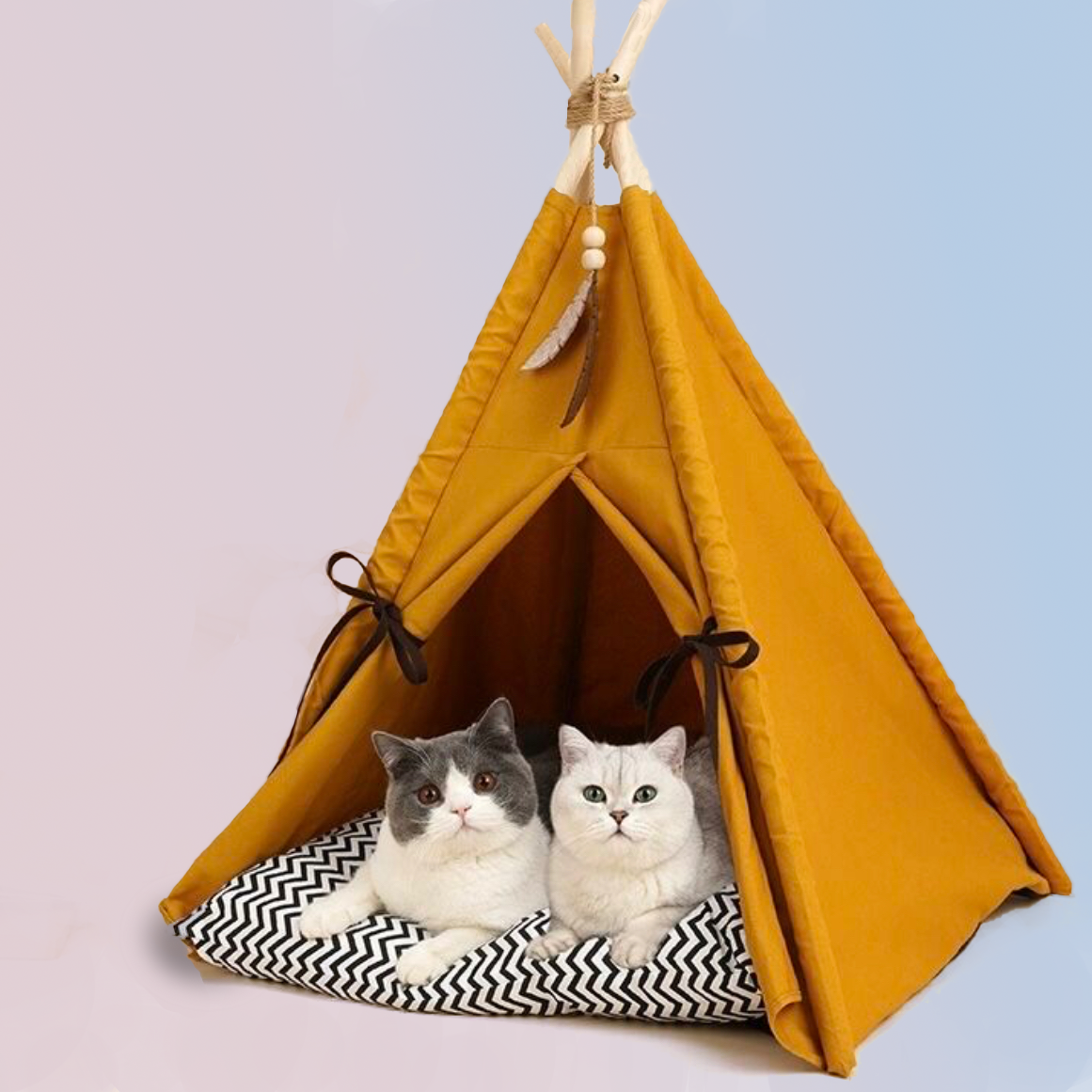 Tent Cat & Dog Beds - Fluffy Smiles